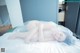 A woman laying on top of a bed covered in a veil.